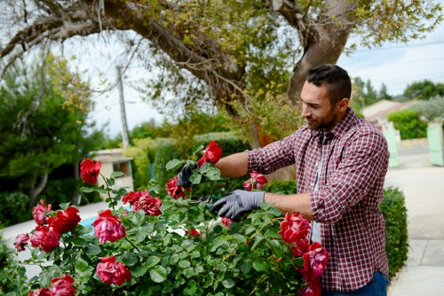 Staff member inspecting a community garden representing the company's commitment