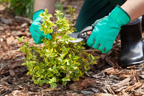 Site inspection by gardening team during investigation