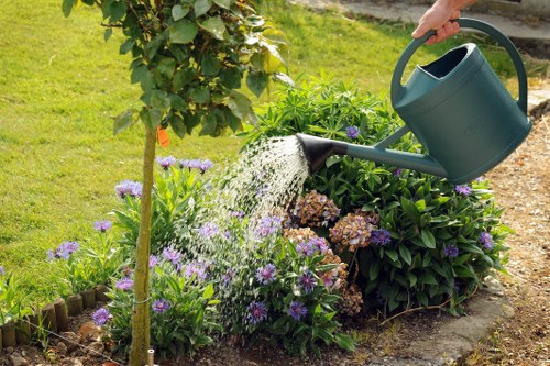 In a well-maintained garden, a person waters a large flowering shrub with a dark green plastic watering can, positioned to the right of the image. The shrub displays clusters of purple and brownish flowers, surrounded by lush green leaves. To the left, a small young tree with broad green leaves is supported by a wooden stake and tied securely, indicating recent planting or support. The garden bed is bordered with small wooden edging and features a variety of plants, including smaller flowering plants with purple blossoms. The background includes a neatly mowed lawn with vibrant green grass, and a paved pathway made of grey stones runs along the edge of the garden. The scene is lit by natural daylight, suggesting a clear, mild-weather day, which emphasizes the natural textures and colours of the garden elements. This setting exemplifies professional garden maintenance, including watering and plant care, aligned with services offered by Gardening Services Hanwell, contributing to an attractive outdoor space in the Hanwell area near postcode W7.